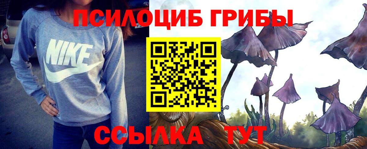 Нягань  Галлюциногенные грибы Magic Shrooms  Вход с VPN  Псилоцибиновые грибы прущие грибы 
